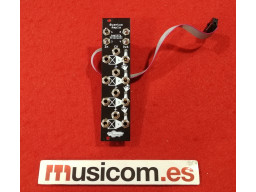 NOISE ENGINEERING QUANTUS AMPLA BLACK